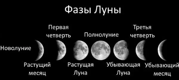фазы луны